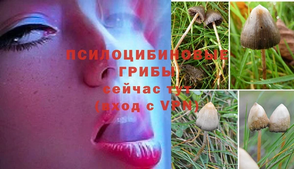 альфа пвп VHQ Аркадак