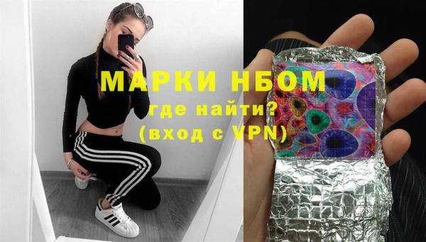 твердый Арсеньев