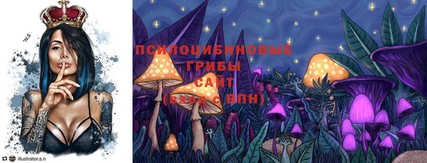 твердый Арсеньев