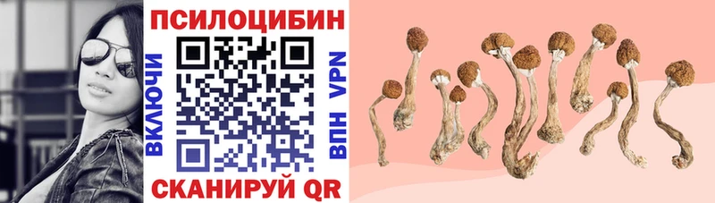 сколько стоит Архангельск Псилоцибиновые грибы Magic Shrooms