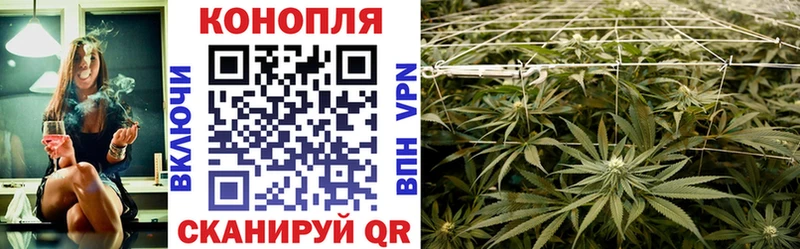 Шишки марихуана Amnesia  купить наркотик  МЕГА рабочий сайт  Архангельск 